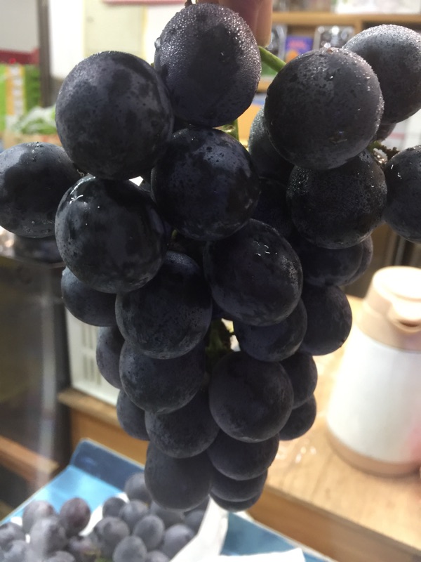 溫室特級巨峰葡萄5公斤裝整串6-9串裝| 蝦皮購物