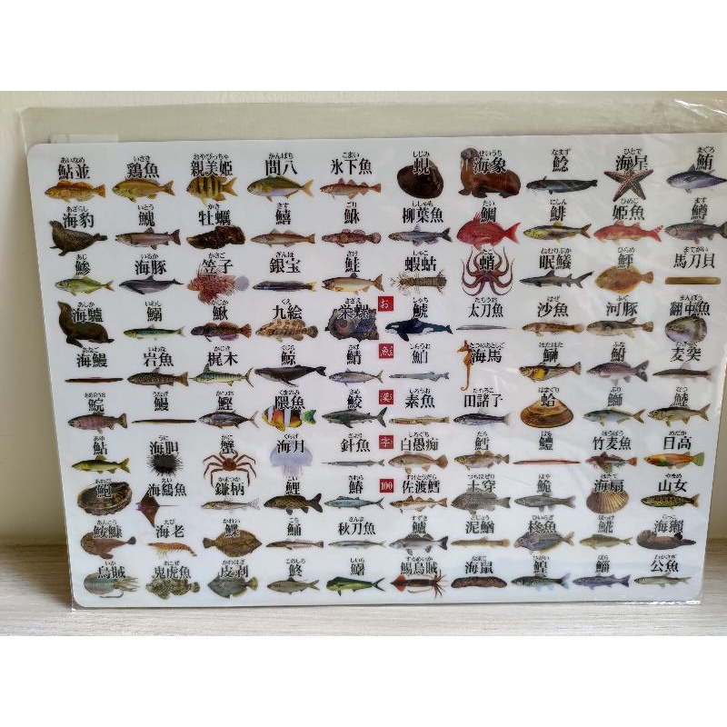 お魚漢字100 下敷きa4 全新未拆封 蝦皮購物