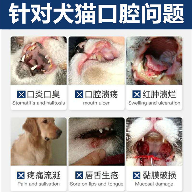 寵物貓犬口炎噴劑狗狗貓咪口臭流口水牙周炎口腔潰爛生瘡潰瘍用品lnu2 蝦皮購物