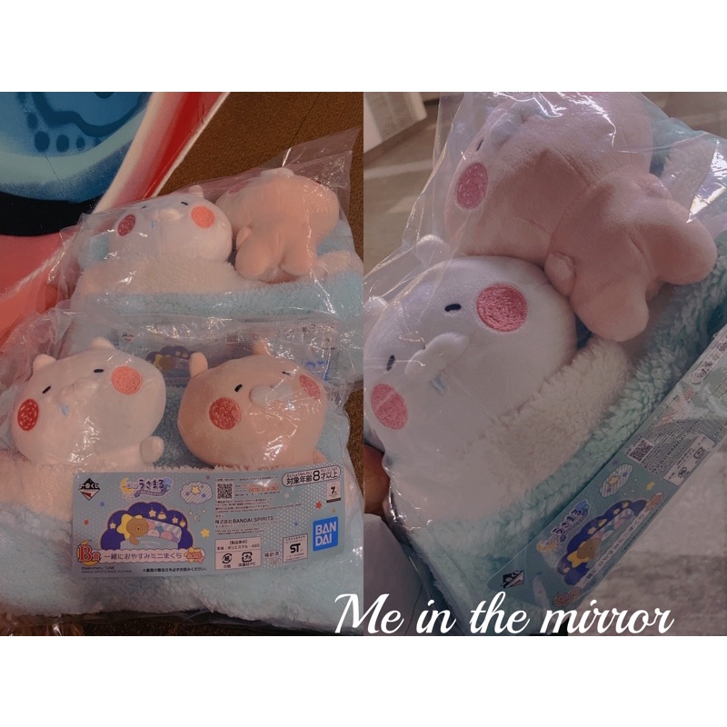 le ruban ୨୧* ~ ecru ~くしゅくしゅリボン エクリュ №1price