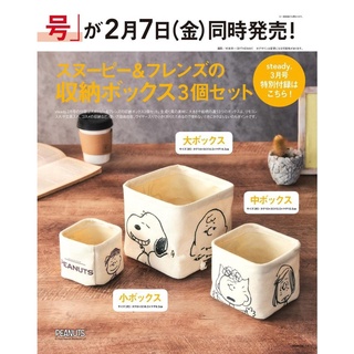 日本雜誌附錄款 史努比 Snoopy 桌面置物盒 硬幣置物包袋 雜物小物分類收納盒 三件式