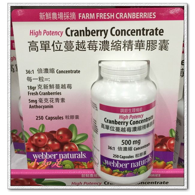 Φ小知足ΦCOSTCO代購 WEBBER NATURALS 高單位蔓越莓濃縮精華膠囊 500MG/250錠 全館合併運