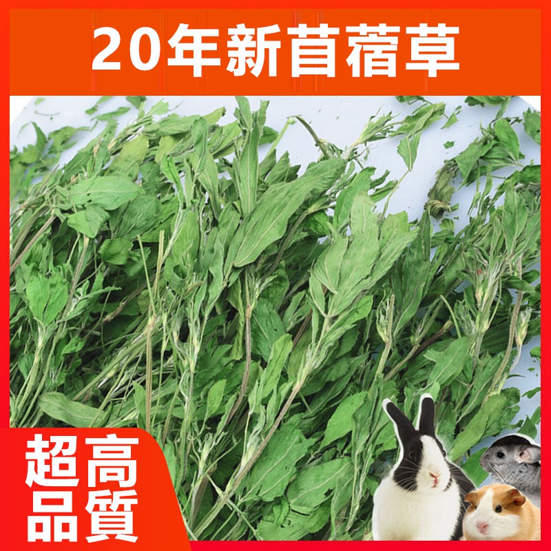 綠色新苜蓿 烘烤紫花苜蓿草干兔糧兔子龍貓糧食荷蘭豬兔草1kg 蝦皮購物