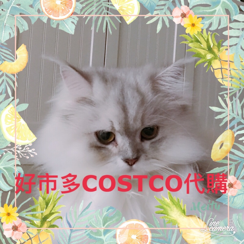 好市多COSTCO代購代買