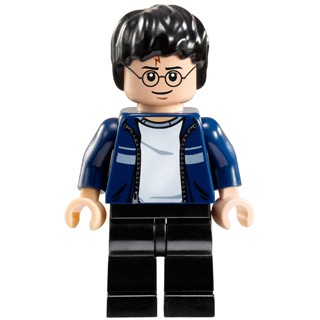 玩樂趣 LEGO樂高 10217 Harry Potter 二手人偶 (hp087)