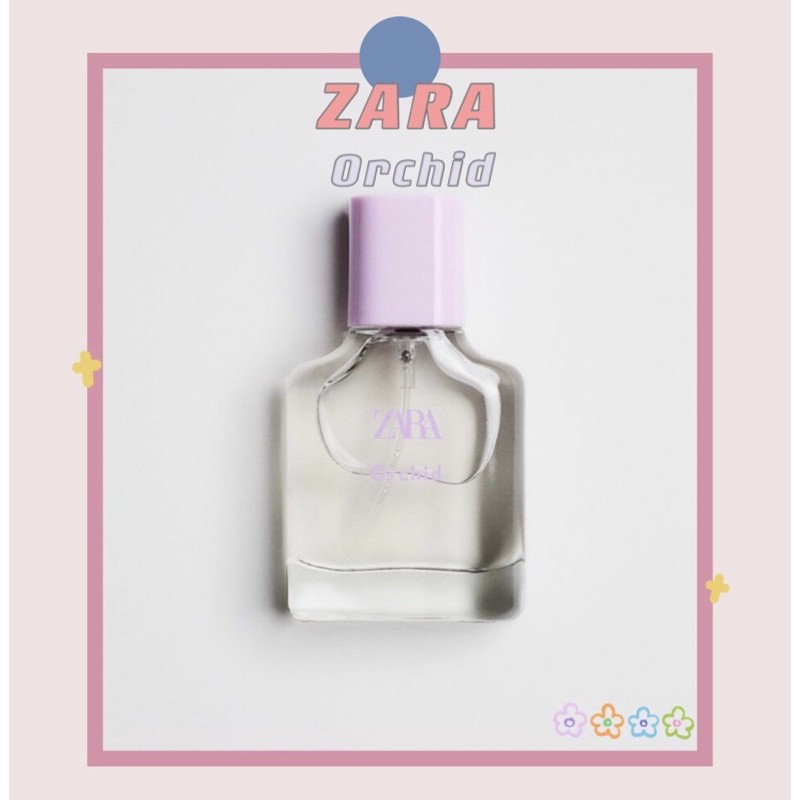 Zara香水 Orchid 門市熱門款 正品代購 蝦皮購物