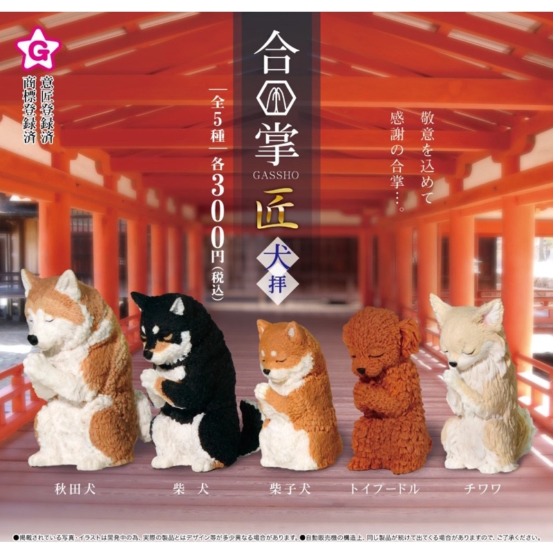 貓星人 Yell合掌動物合掌祈福動物匠 犬篇狗狗祈福扭蛋公仔柴柴黑柴柴犬秋田犬貴賓吉娃娃拜拜 蝦皮購物