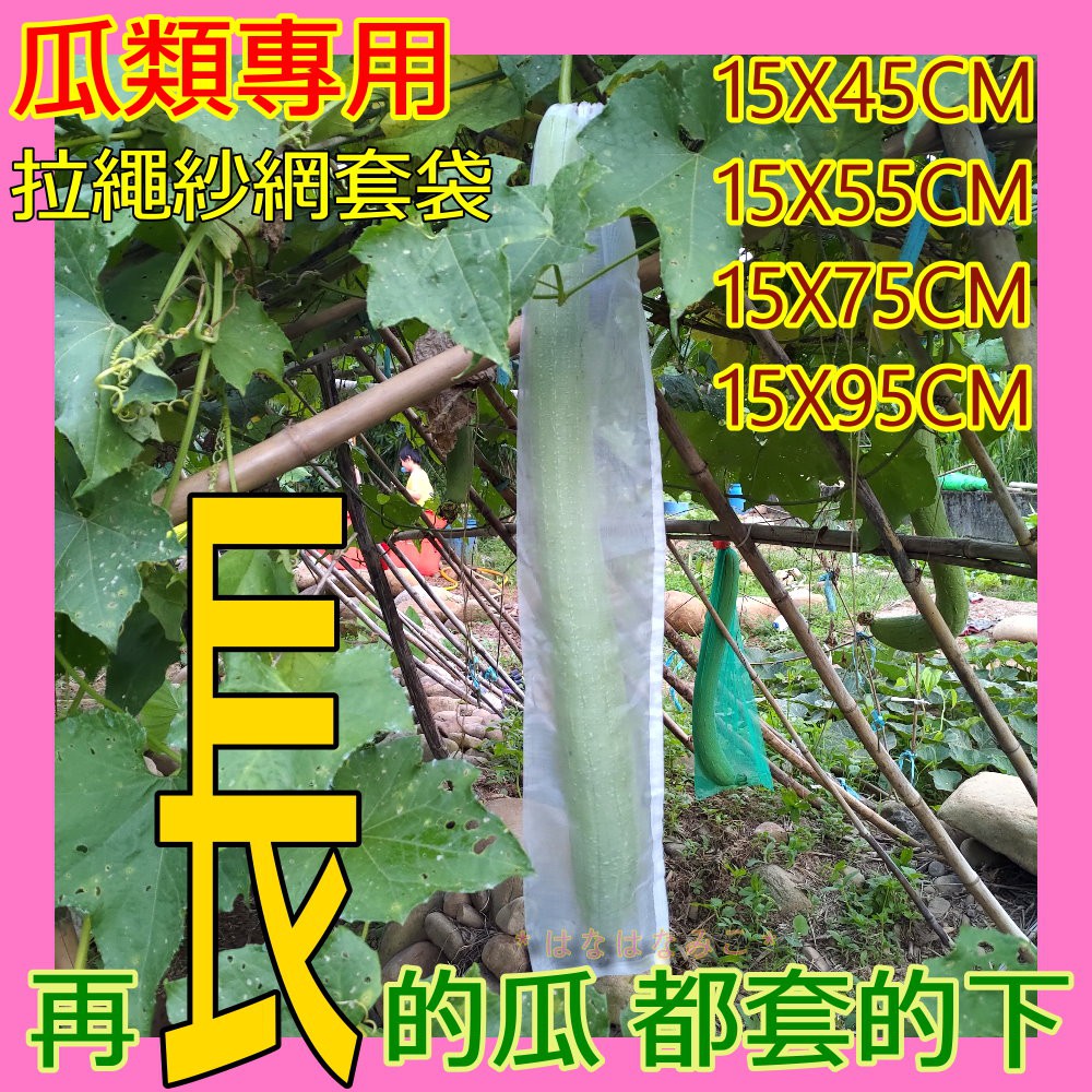 [台灣出貨]長形瓜類專用拉繩紗網袋【咪子媽咪購物】【FG002】絲瓜長瓜類套袋 防蟲咬 防蜂叮透氣袋 拉繩不用再用夾子