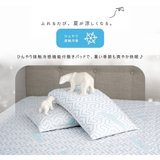 【契斯特】日本授權極凍紗恆溫27度美式枕套 二入組(冰涼墊 Qmax)