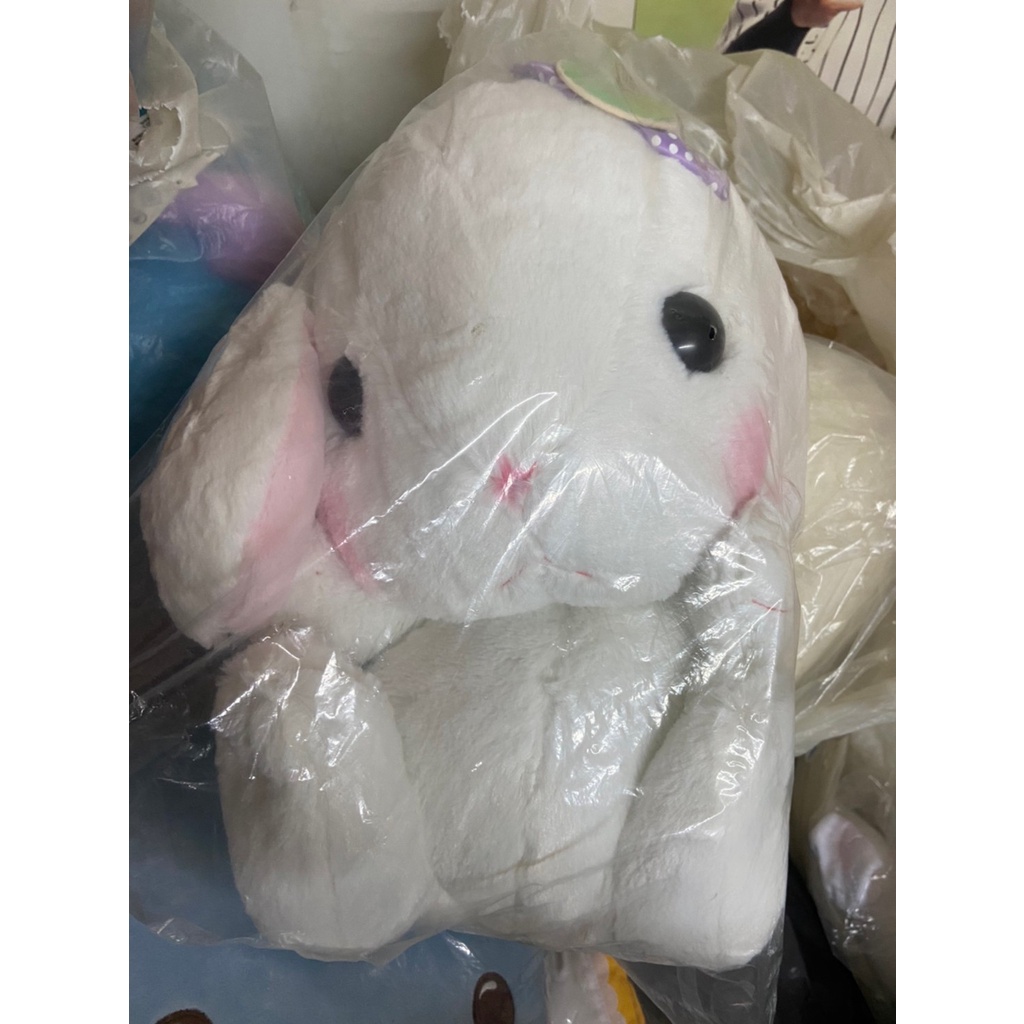 [錢沒有不見]日本景品 垂耳兔 大型玩偶 Amuse 長耳兔 Loppy 兔子 兔寶寶 白兔 兔耳朵 娃娃 多款可選