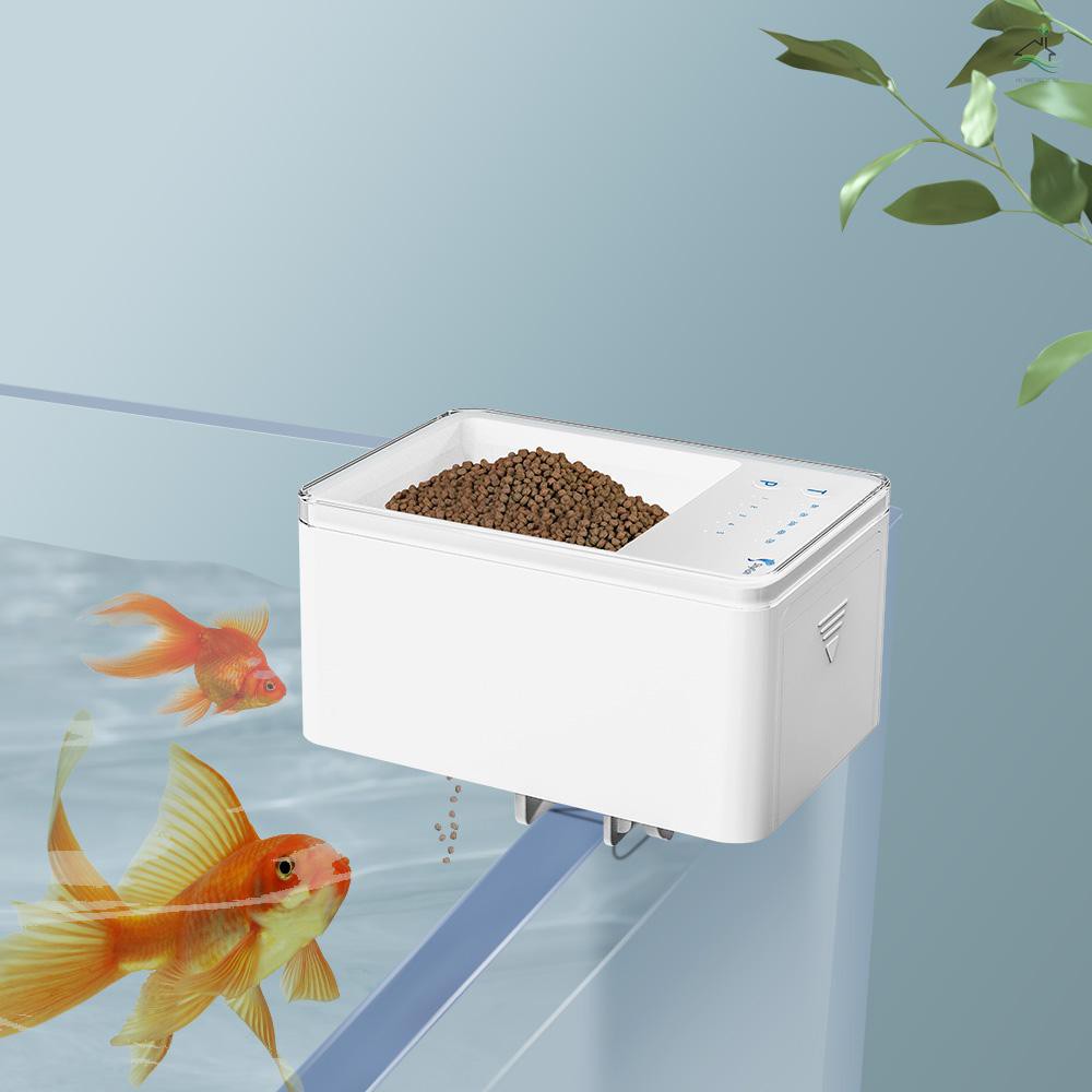 魚餵食器 拍賣 評價與ptt熱推商品 21年4月 飛比價格