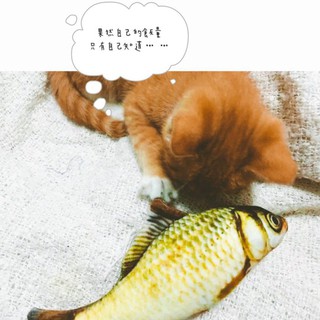［現貨］貓抱枕.魚造型抱枕.貓咪玩具