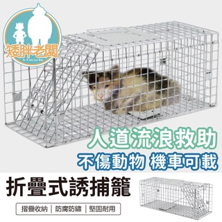 『免運』折疊式誘捕籠 24H出貨 臺灣現貨【矮胖老闆】誘捕籠 誘貓籠 抓狗籠 捕貓捕狗籠 TNR【蝦皮團購】