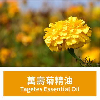【馥靖精油】萬壽菊精油 Tagetes Essential Oil