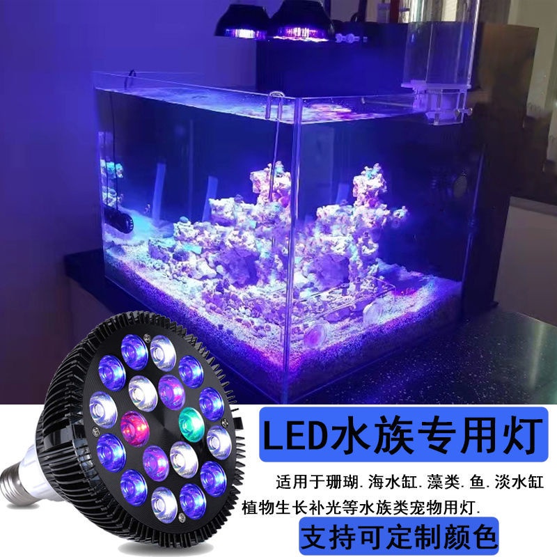 珊瑚海補增的價格推薦 22年10月 比價比個夠biggo