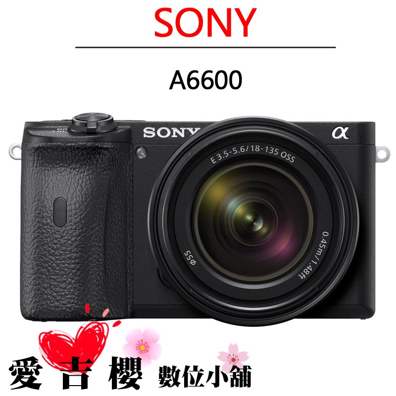 Sony α6600M 數位單眼相機
