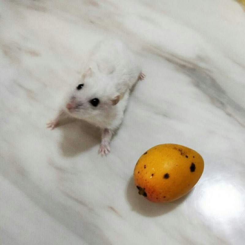顧客