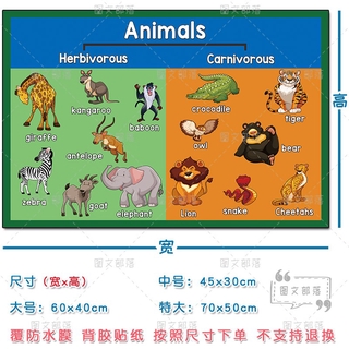 新品预售 幼兒啟蒙教育動物英語單詞思維導圖英文貼紙英語教室主題裝飾墻貼 蝦皮購物