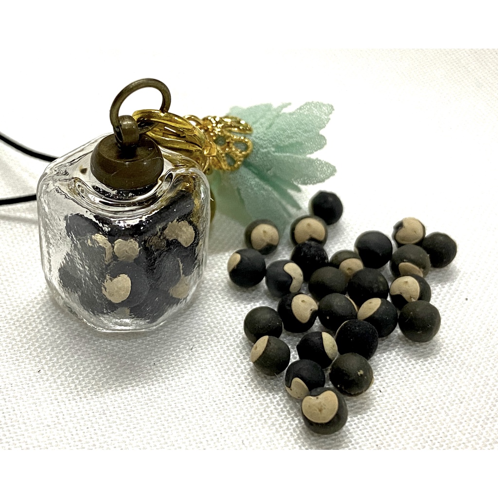 玩種子diy 倒地鈴 風船葛 泡泡草 燈籠草種子 顆10元 50顆25元 蝦皮購物