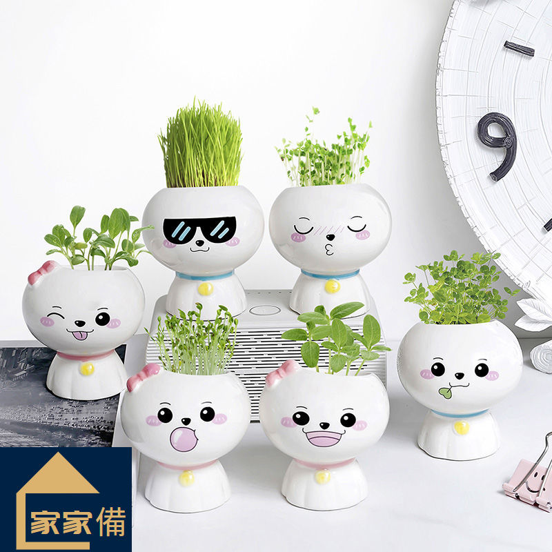 Diy植栽 拍賣 評價與ptt熱推商品 21年6月 飛比價格