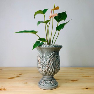 花盆王 知雨若泥 觀葉植物彩葉芋合果芋龜背芋竹芋盆栽容器•桌上結婚乾燥花永生花藝•臺灣出貨•貴族風獎盃高筒歐式花瓶花器
