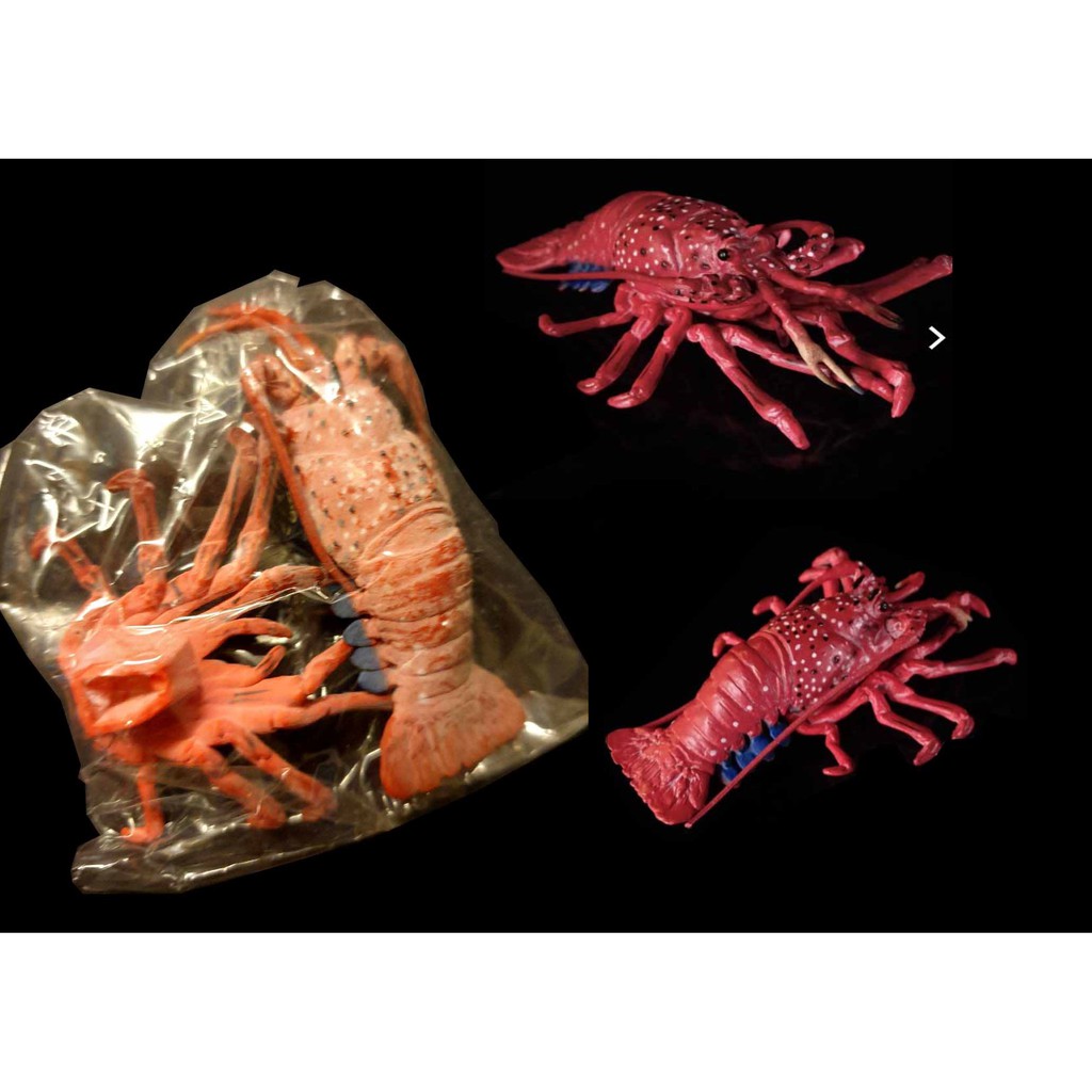 A 231 櫃 07 地球生命紀行蟹海老改日本龍蝦伊勢海老富貴玩具店 蝦皮購物