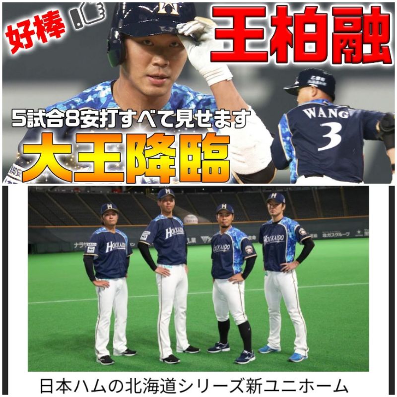 NPB 日本職棒 2021 北海道日本火腿鬥士 日職棒球球衣 空白背號 一起幫王柏融加油