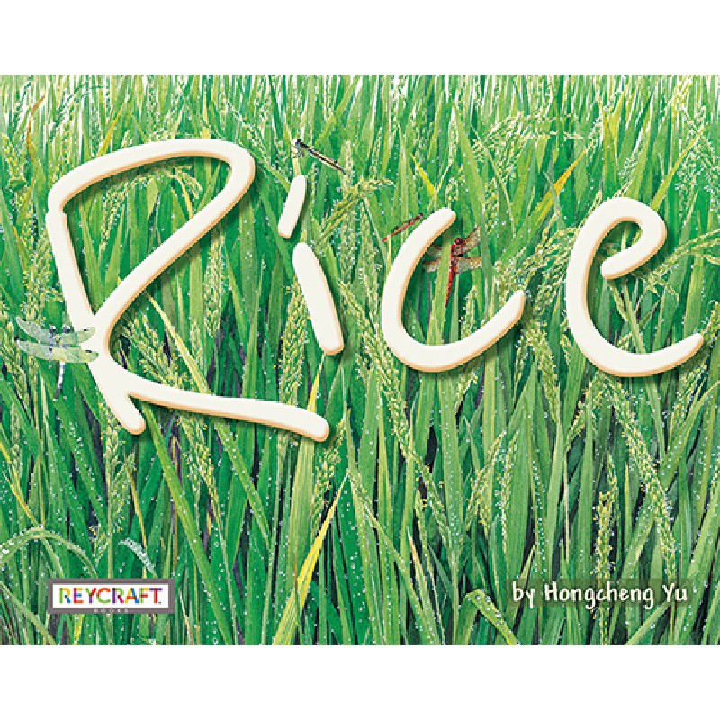 Rice 【Reycraft Books 優質精選繪本】