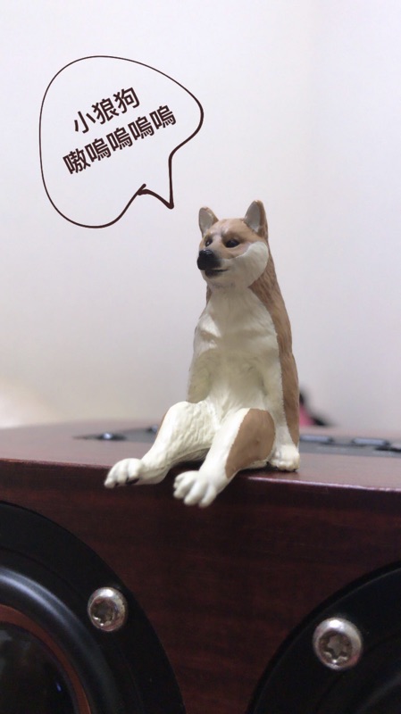 現貨 售完不補 Kitan奇譚俱樂部不可思議動物坐姿柴犬 蝦皮購物