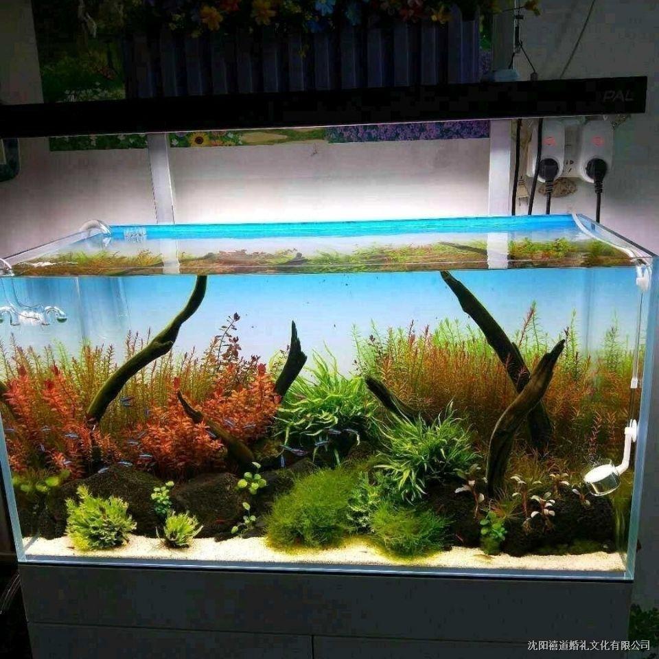 下殺 卍魚缸背景紙新款壁紙生態背景貼水草缸背景藍白漸變色訂製水族箱缸 蝦皮購物