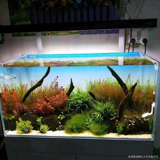 魚缸 居家裝飾 壁貼 窗貼 優惠推薦 21年11月 蝦皮購物台灣