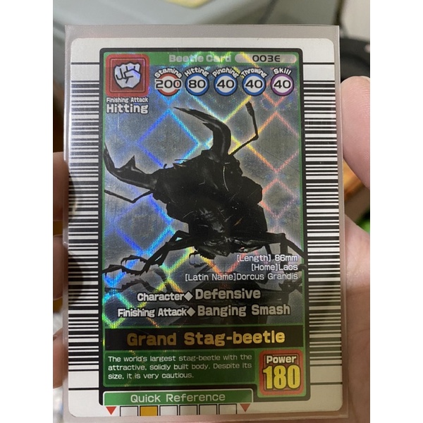 舊甲蟲王者 第一代英文版銀卡 稀有巨大扁鍬形蟲