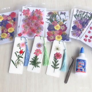 🔥臺灣熱賣🔥 創意幹花壓花書簽diy材料包幼兒園自製手工植物標本製作空白卡片 質感裝飾貼紙 主題貼紙 蝴蝶 花朵 瓶子瓶