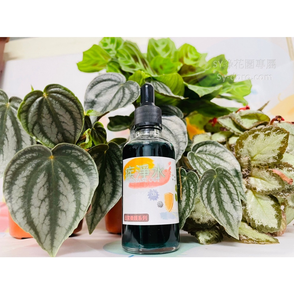 【SY綠花園】疾淨水｜預防疾病｜白粉病、炭疽病、銹病｜殺菌｜病害防治｜園藝專用 (下雨過後的好幫手)