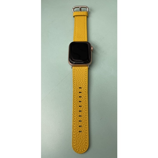 Apple Watch Series 4 LTE 40mm 二手