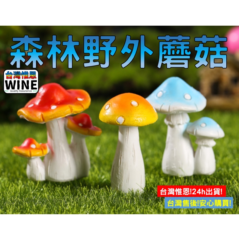 WINE台灣惟恩 微景觀 森林野外蘑菇 多肉 盆栽 造景 屋子 蘑菇 香菇