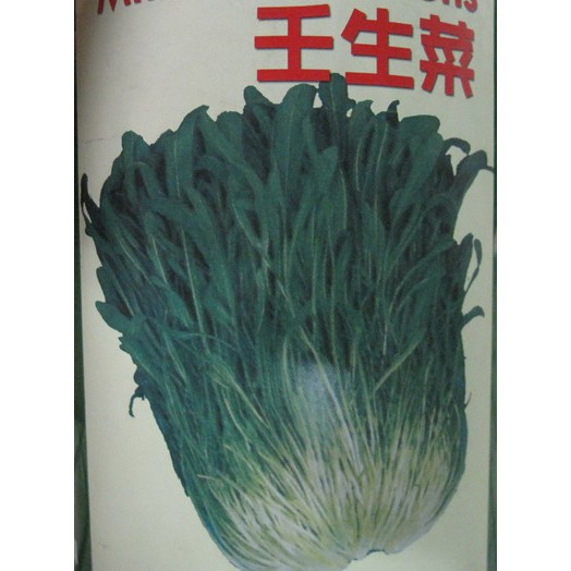 【萌田種子~】F16 日本壬生菜種子1.8公克 ,生長強勢 ,分枝性強 ,味道鮮美,每包16元