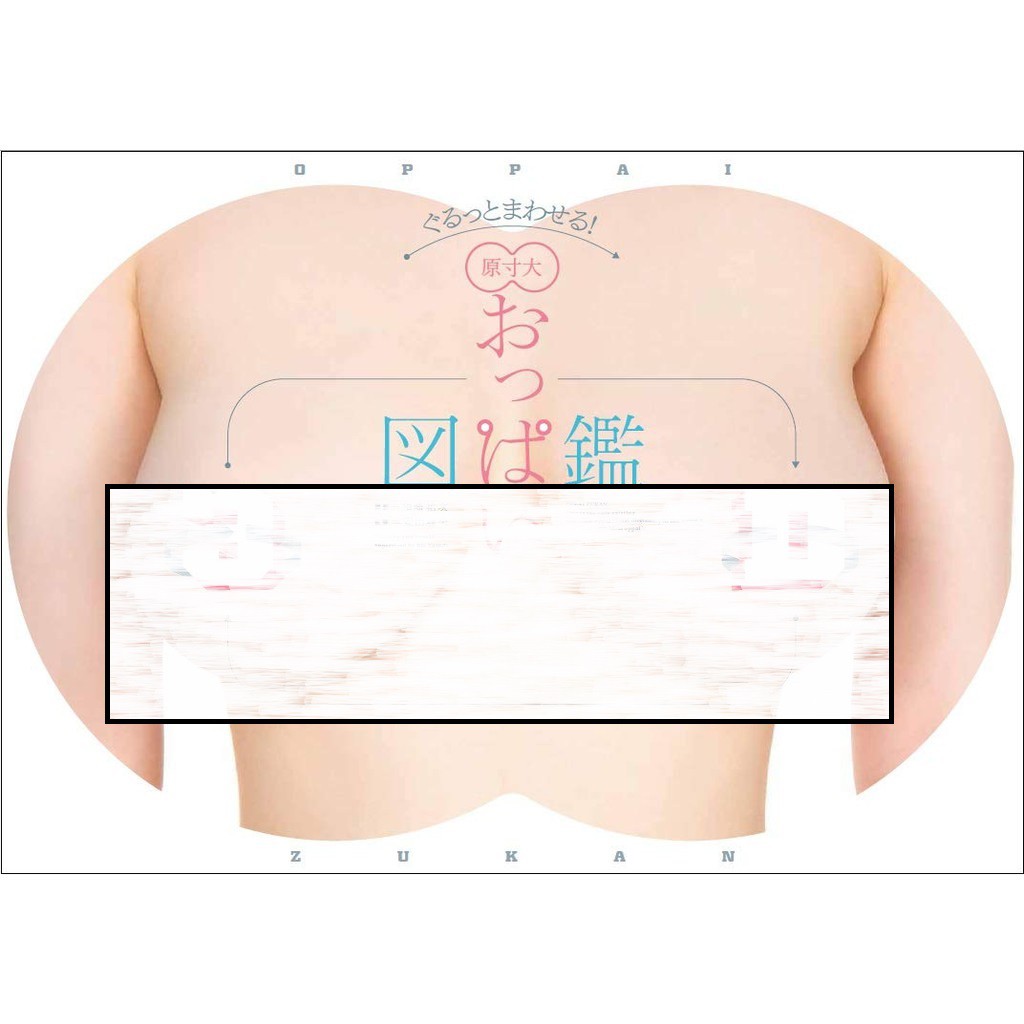 現貨供應中 原寸大oppai 胸部 圖鑑3d 蝦皮購物