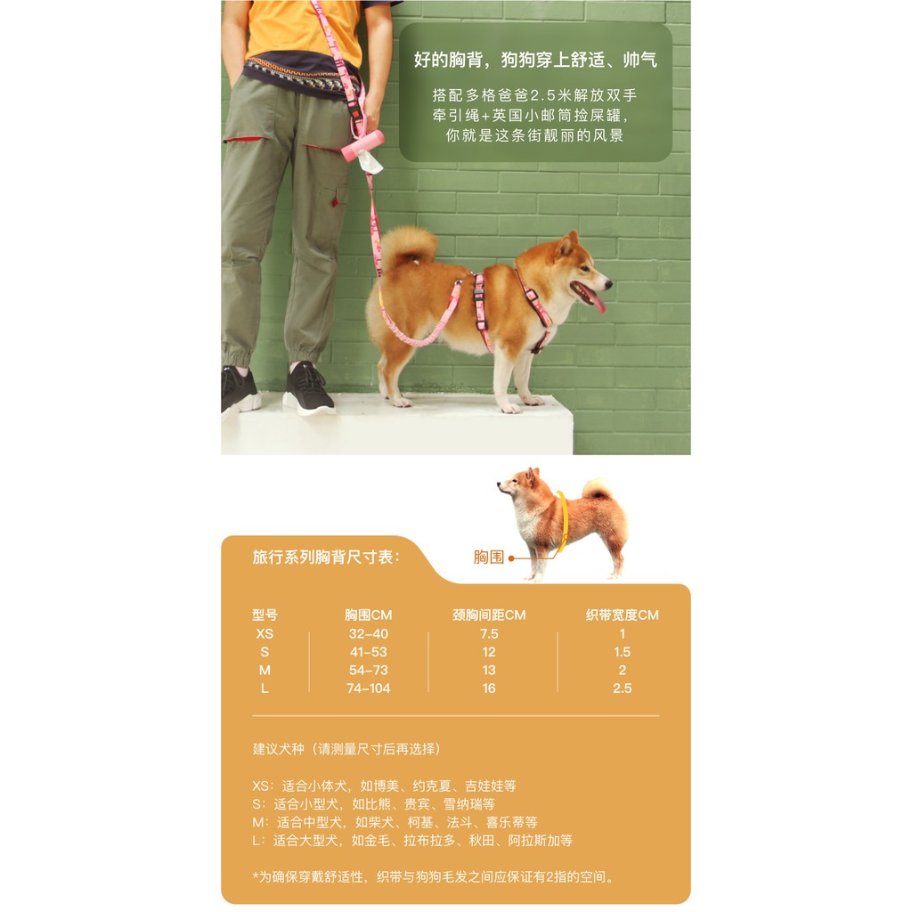 咽頭一晩校長犬夏旅行 Getactivelondon Org