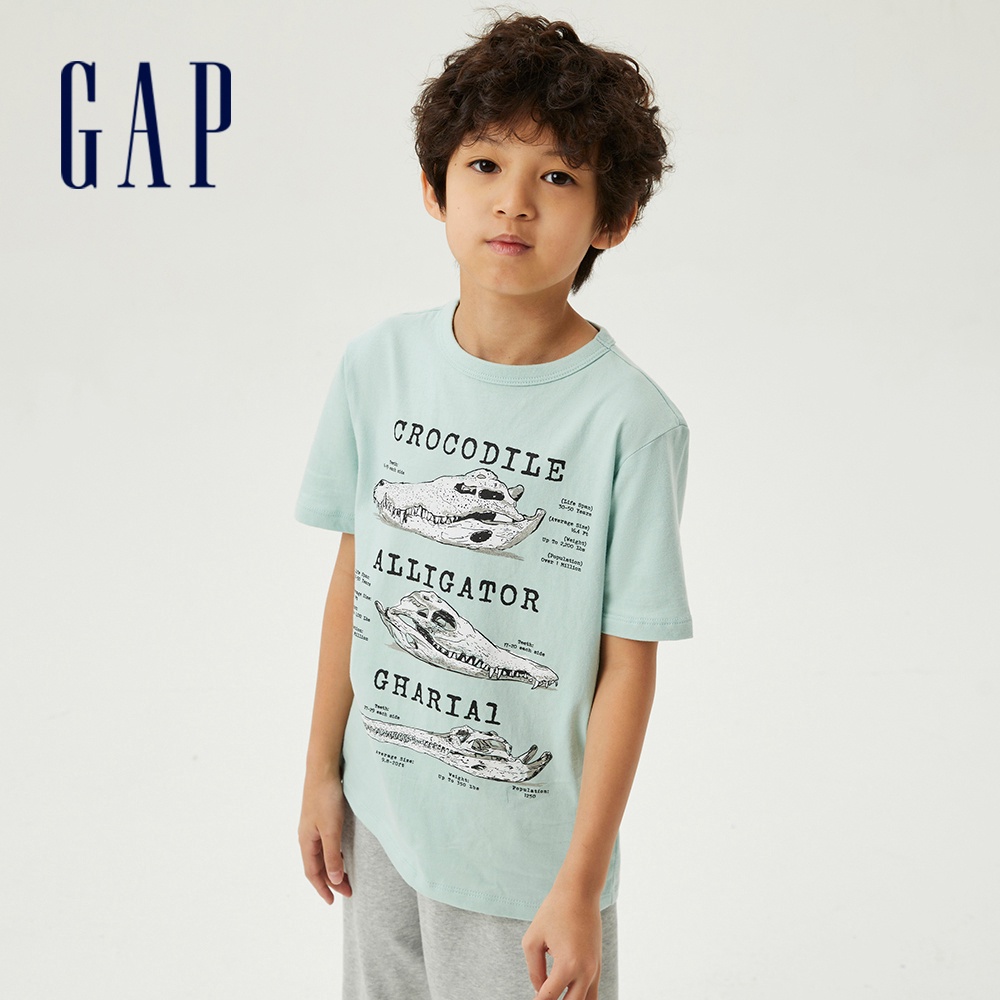 Gap 男童裝 純棉Logo/印花寬鬆短袖T恤-淺綠色(825594)