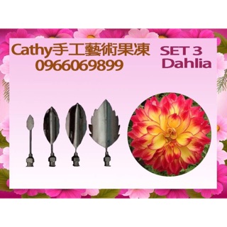 大理花果凍花工具特製小組（適合基礎+進階）3D果凍蛋糕專用