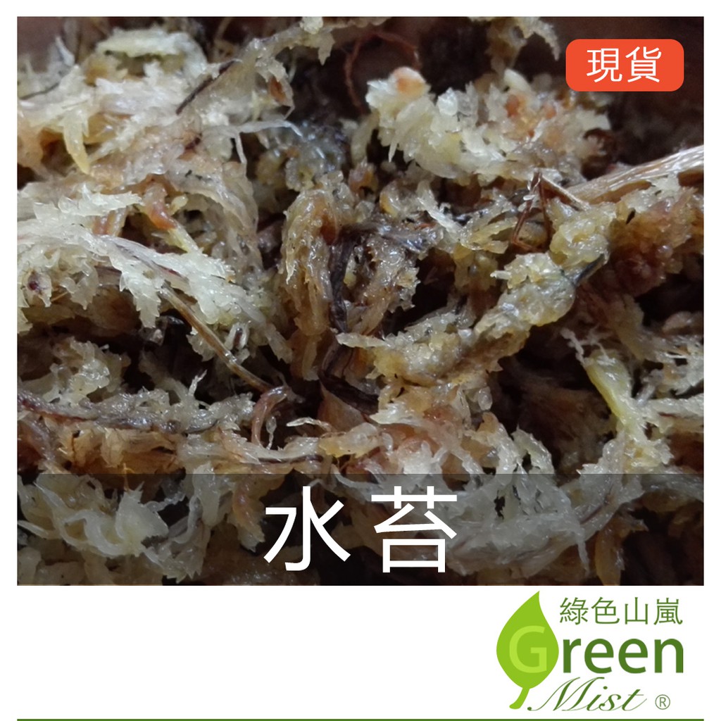 現貨 水苔 智利 中國 乾燥水苔乾燥水草鹿角蕨介質食蟲植物介質蘭花介質昆蟲保濕 綠色山嵐 蝦皮購物