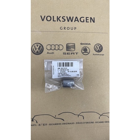 06B105313D 福斯德國 🇩🇪 VW T5 CADDY GOLF TIGUAN 飛輪軸承