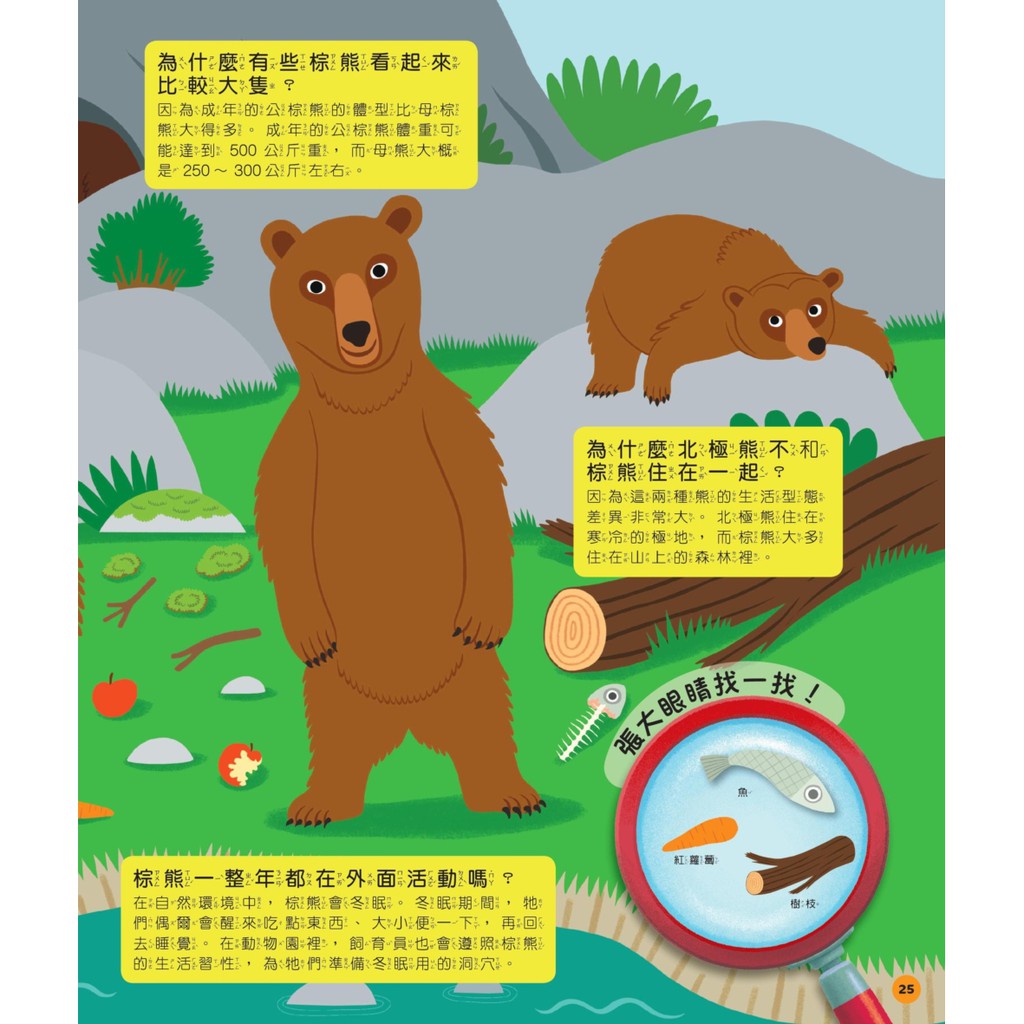 全新 我的60個趣味大發現1 動物園 原價3 小光點 愛子森林 蝦皮購物