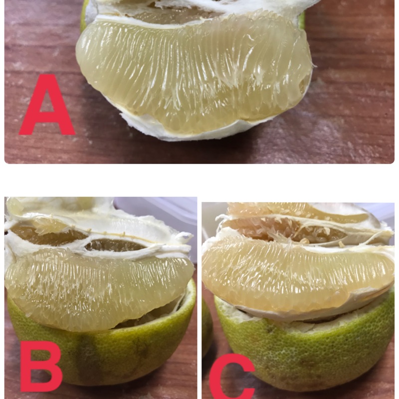 正宗麻豆文旦40年老欉草生栽培不下甜肥吉園圃安全蔬果歡迎來現場試吃 蝦皮購物
