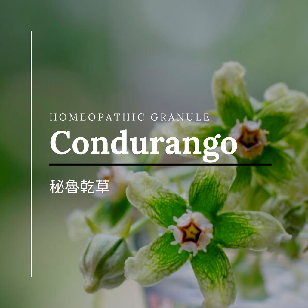 順勢糖球【祕魯乾草●Condurango】Homeopathic Granule 9克 食在自在心空間