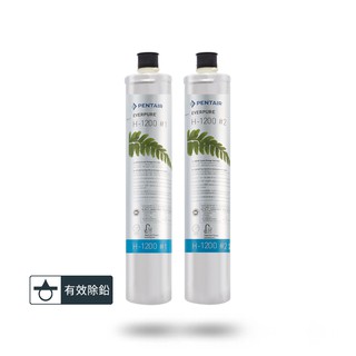 愛惠浦 淨水濾芯 H1200 (大巨光)