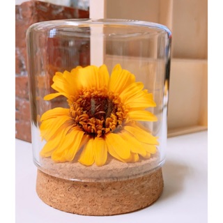 圓柱型玻璃花器的價格推薦 21年9月 比價撿便宜