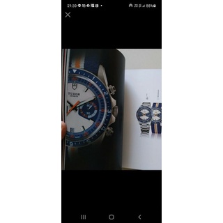 帝舵 TUDOR 目錄 型錄 2017 black bay 銅 黑 鈦 水鬼 GMT 可樂 百事 計時 勞力士 錶