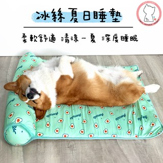 爆睡犬 優惠推薦 22年11月 蝦皮購物台灣